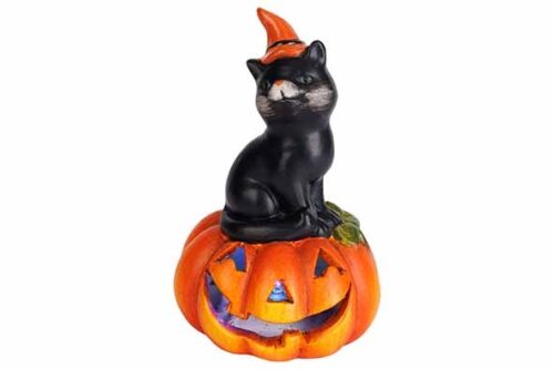 Hoofd pompoen cat led incl2XLR44 batterijen 16cm