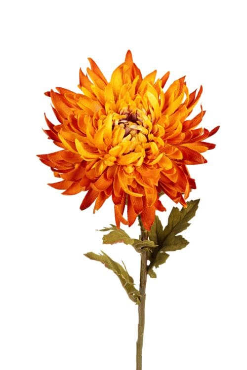 Chrysant l62cm geel/oranje