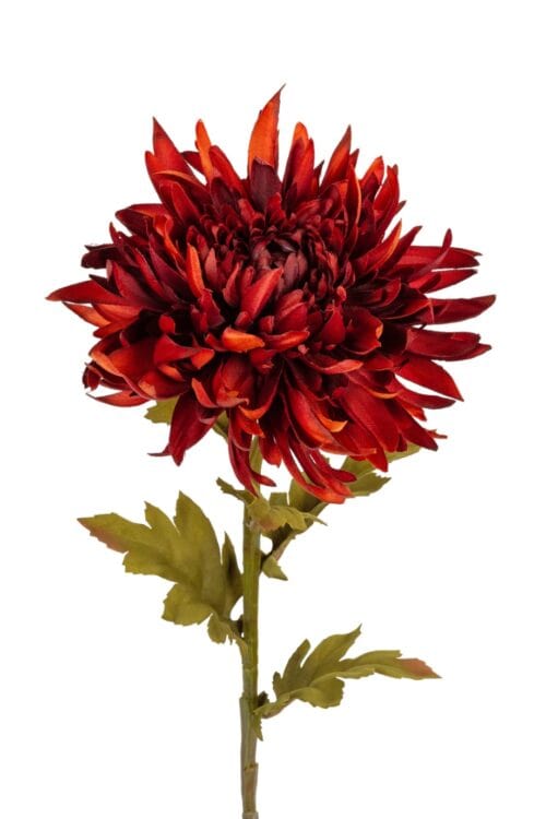 Chrysant l62cm dk rood/oranje