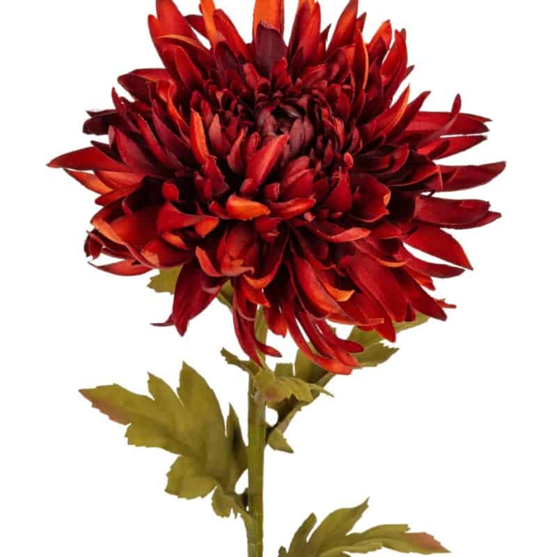 Chrysant l62cm dk rood/oranje