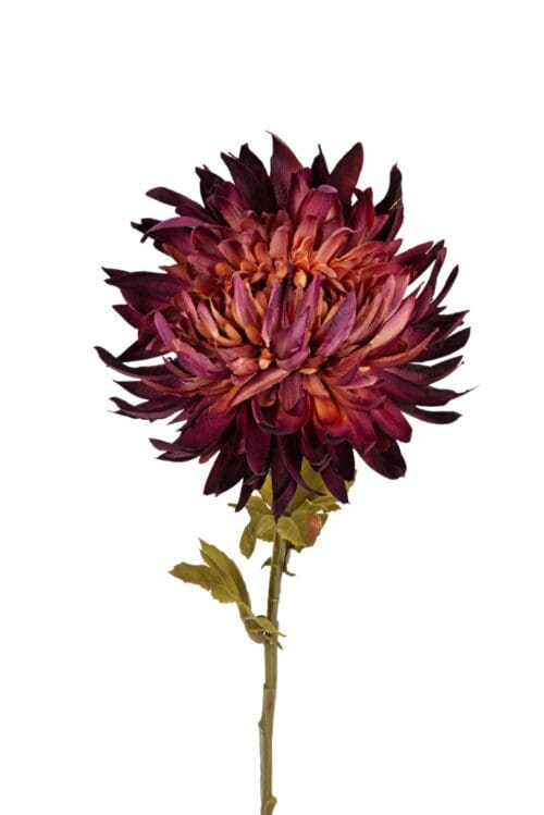 Chrysant l62cm dk