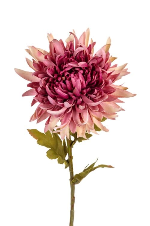 Chrysant l62cm oud roze