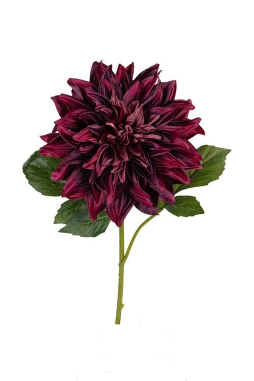 Dahlia l55cm burgundy