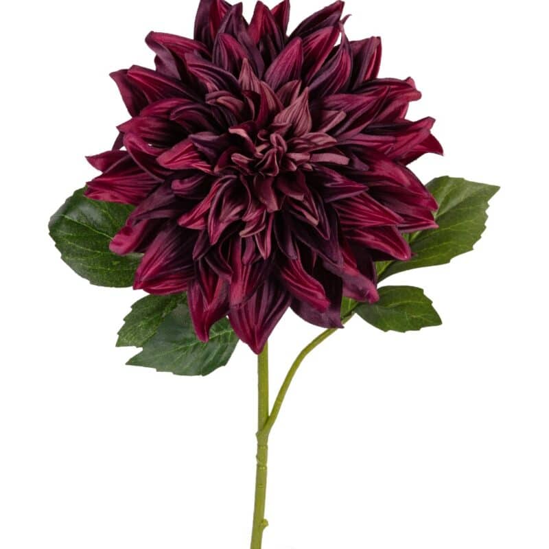 Dahlia l55cm burgundy