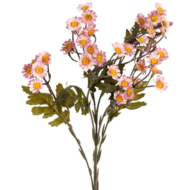 Margrietje l60cm roze