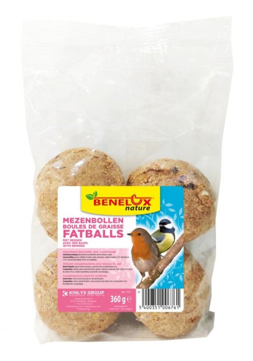 4 mezenbollen met bessen (90g)