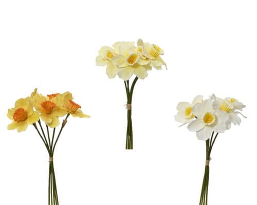 Narcis op steel geel assorti