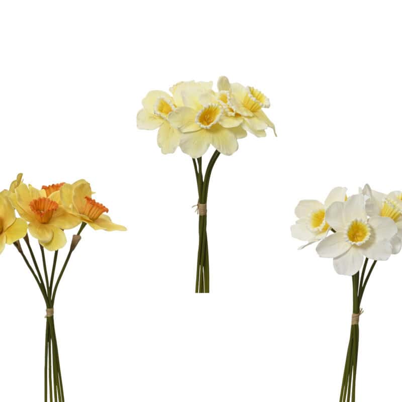 Narcis op steel geel assorti