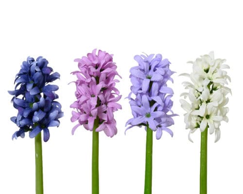 Hyacinth op steel polyester ass