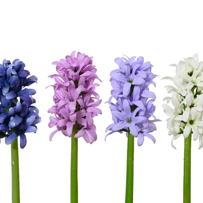 Hyacinth op steel polyester ass
