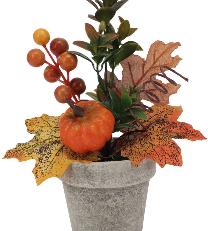 Herfstplant in pot 21 cm
